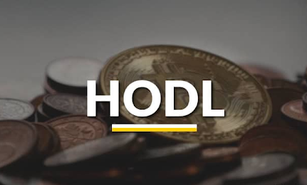 Cours Hodl en 2024 : que vaut réellement cette nouvelle crypto ?